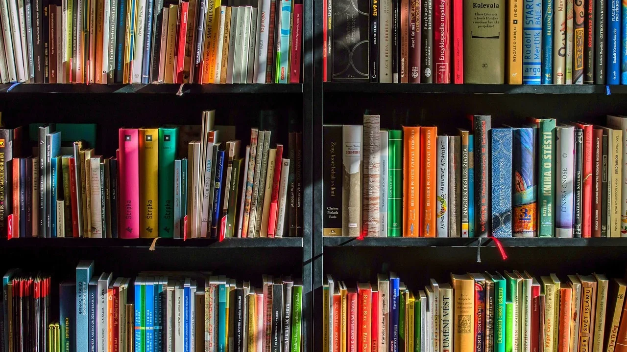 How To Become A Freelance Content Writer For Beginners