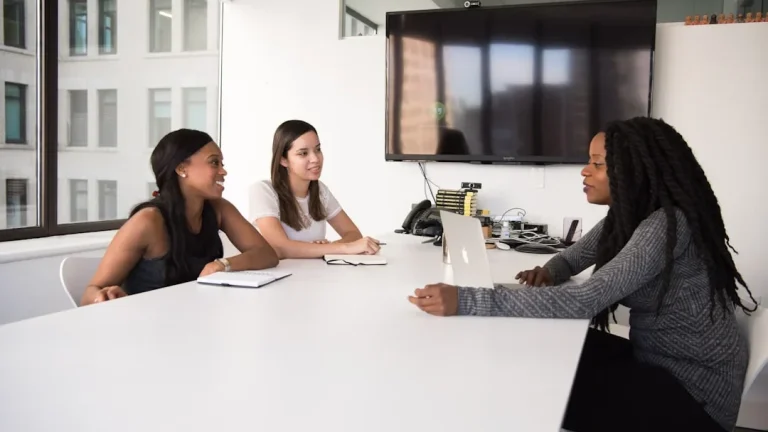 Job Interview Office Meeting