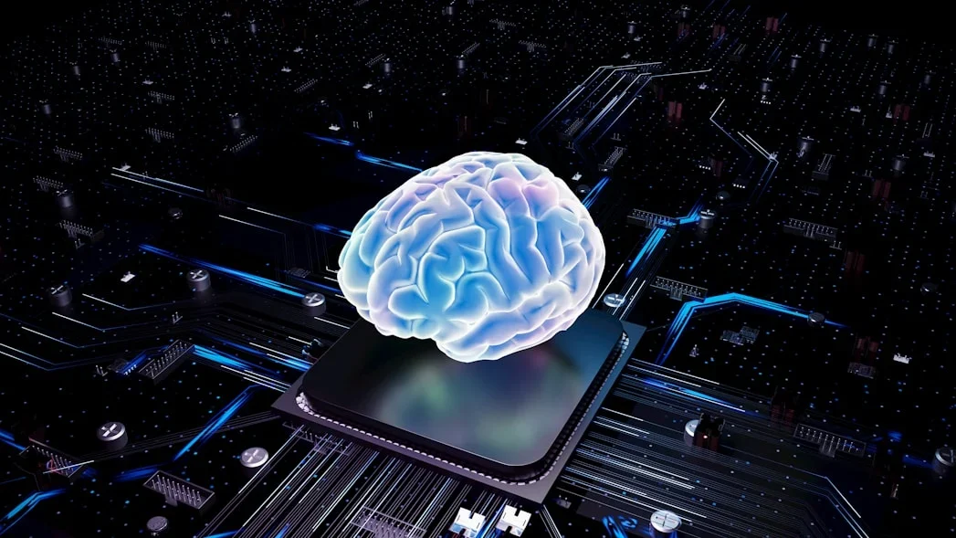 Neural Network Brain Circuitry