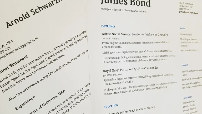 Resume Document Professional Portfolio