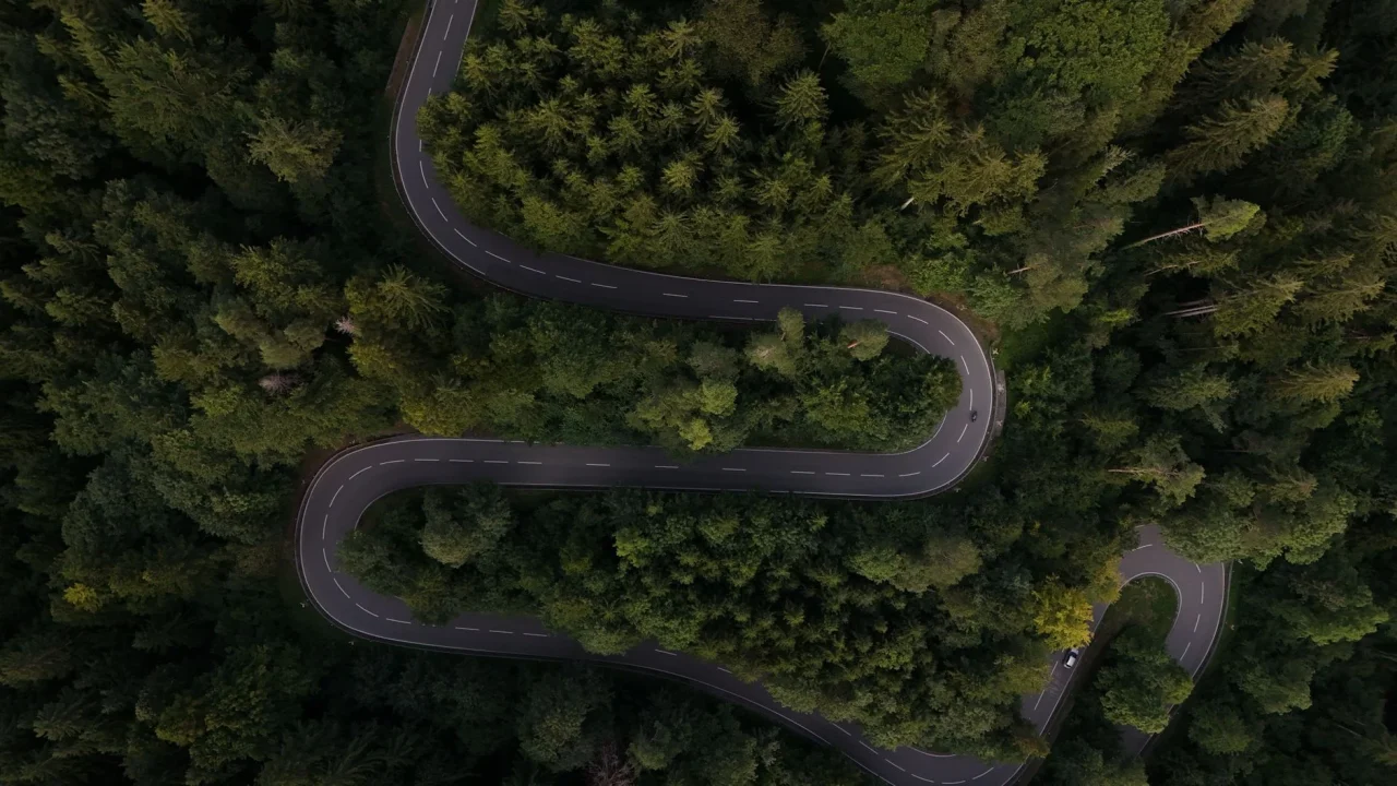Roadmap Career Path